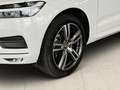 Volvo XC60 B4 (Diesel) AWD Momentum Pro 2xKlima AHK Weiß - thumbnail 7