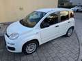 Fiat Panda Easy / SITZHEIZUNG / PDC Weiß - thumbnail 12