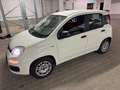 Fiat Panda Easy / SITZHEIZUNG / PDC Weiß - thumbnail 11