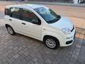 Fiat Panda Easy / SITZHEIZUNG / PDC Weiß - thumbnail 18