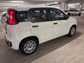 Fiat Panda Easy / SITZHEIZUNG / PDC Weiß - thumbnail 7