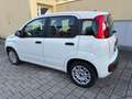 Fiat Panda Easy / SITZHEIZUNG / PDC Weiß - thumbnail 3