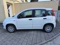 Fiat Panda Easy / SITZHEIZUNG / PDC Weiß - thumbnail 13
