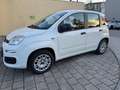 Fiat Panda Easy / SITZHEIZUNG / PDC Weiß - thumbnail 1