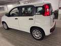 Fiat Panda Easy / SITZHEIZUNG / PDC Weiß - thumbnail 10
