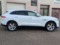 Jaguar F-Pace Prestige 30T AWD AUTOMATIK EURO 6 2. HAND Weiß - thumbnail 8