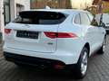Jaguar F-Pace Prestige 30T AWD AUTOMATIK EURO 6 2. HAND Weiß - thumbnail 7