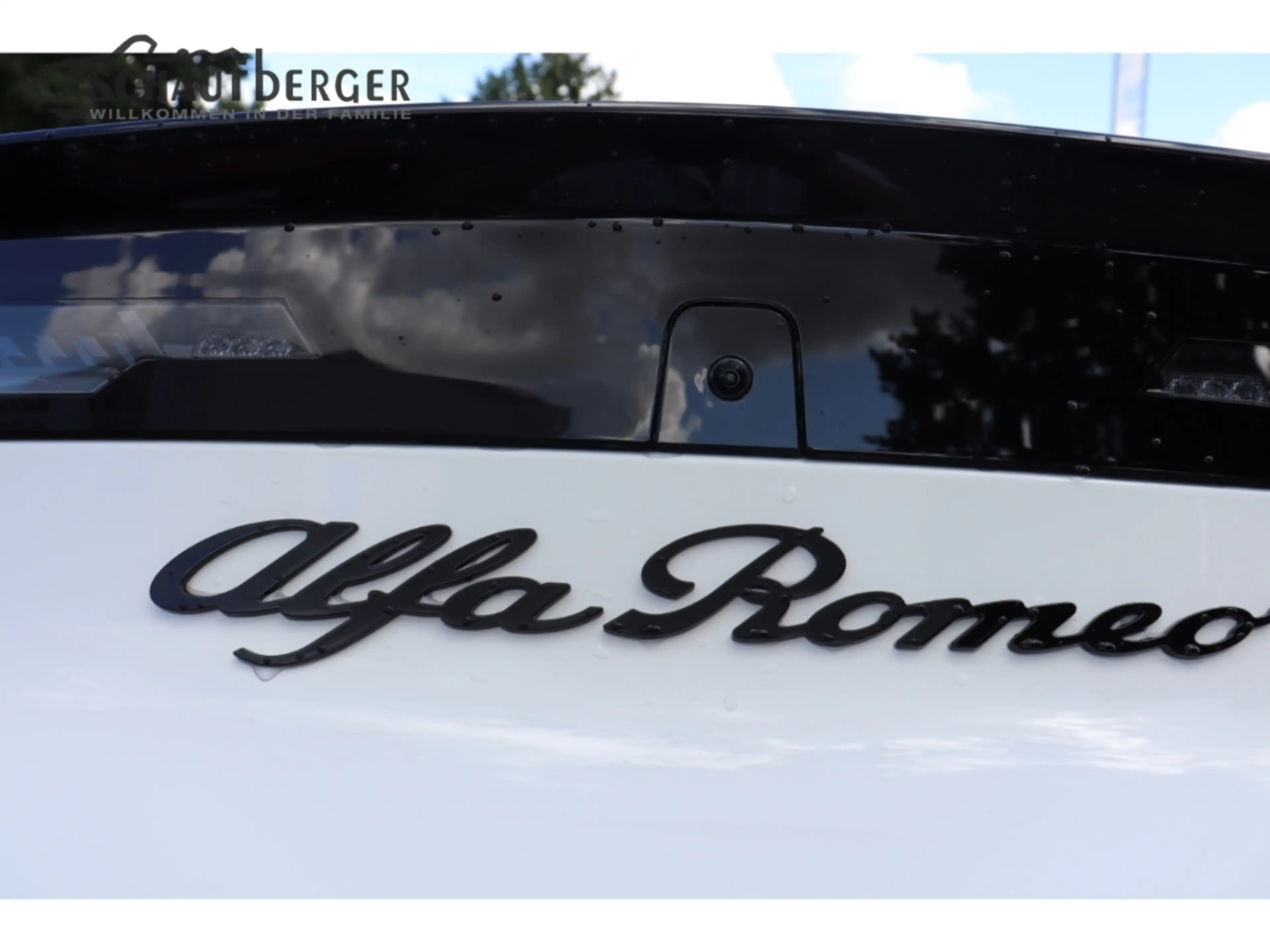 Alfa Romeo Junior Ibrida 1.2 VGT 48V-Hybrid 107 kW Ti Navi Digitales — photo 10