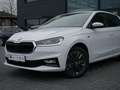 Skoda Fabia Tour 1.0 TSI PDC SHZ KAMERA NAVI LED Weiß - thumbnail 22