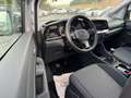 Ford Grand Tourneo 2.0 EcoBlue *TITANIUM*PDCHI+VO+KAM Silber - thumbnail 13