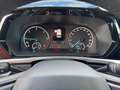 Ford Grand Tourneo 2.0 EcoBlue *TITANIUM*PDCHI+VO+KAM Silber - thumbnail 17