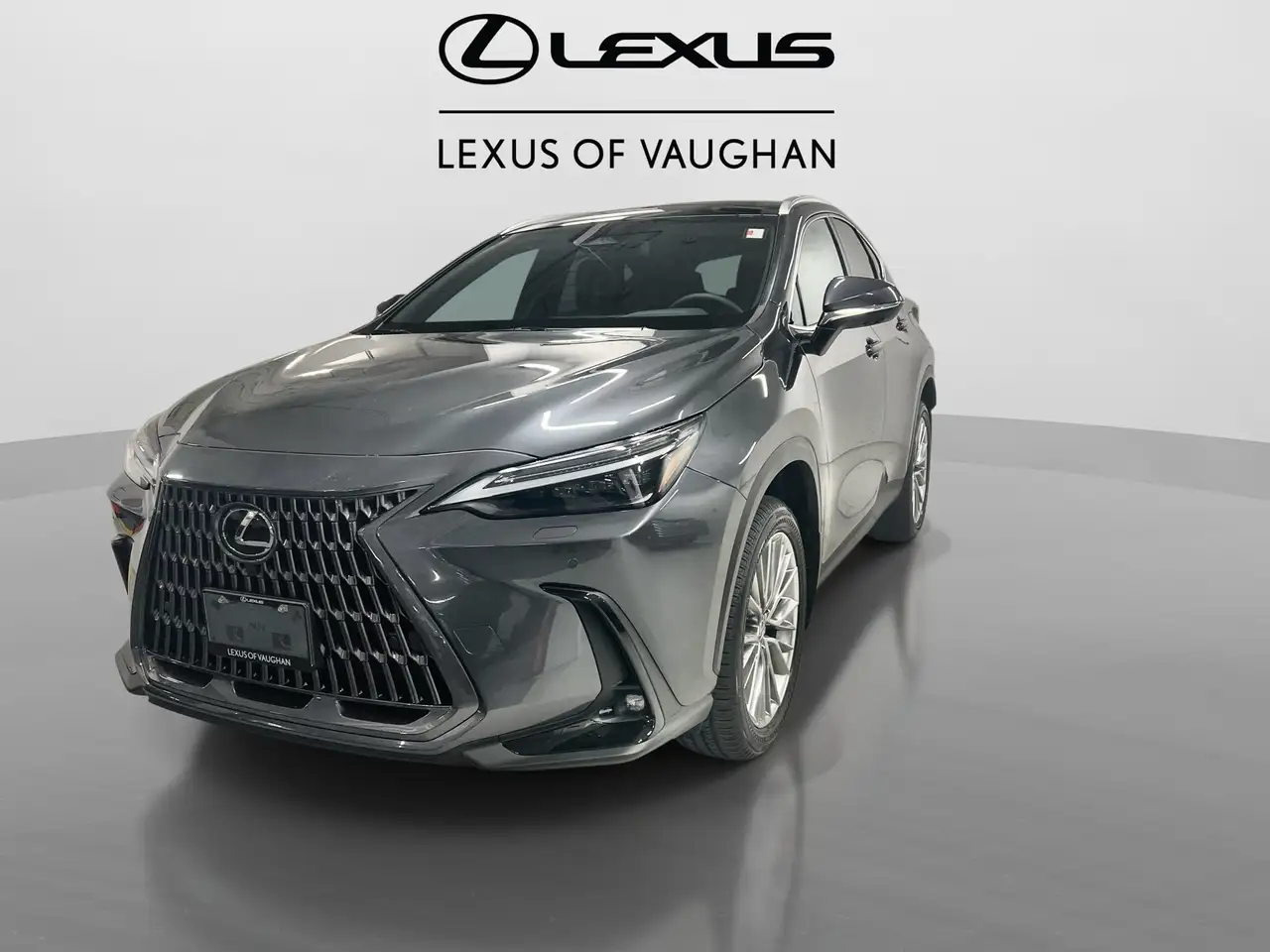 Lexus NX снимка Lexus NX