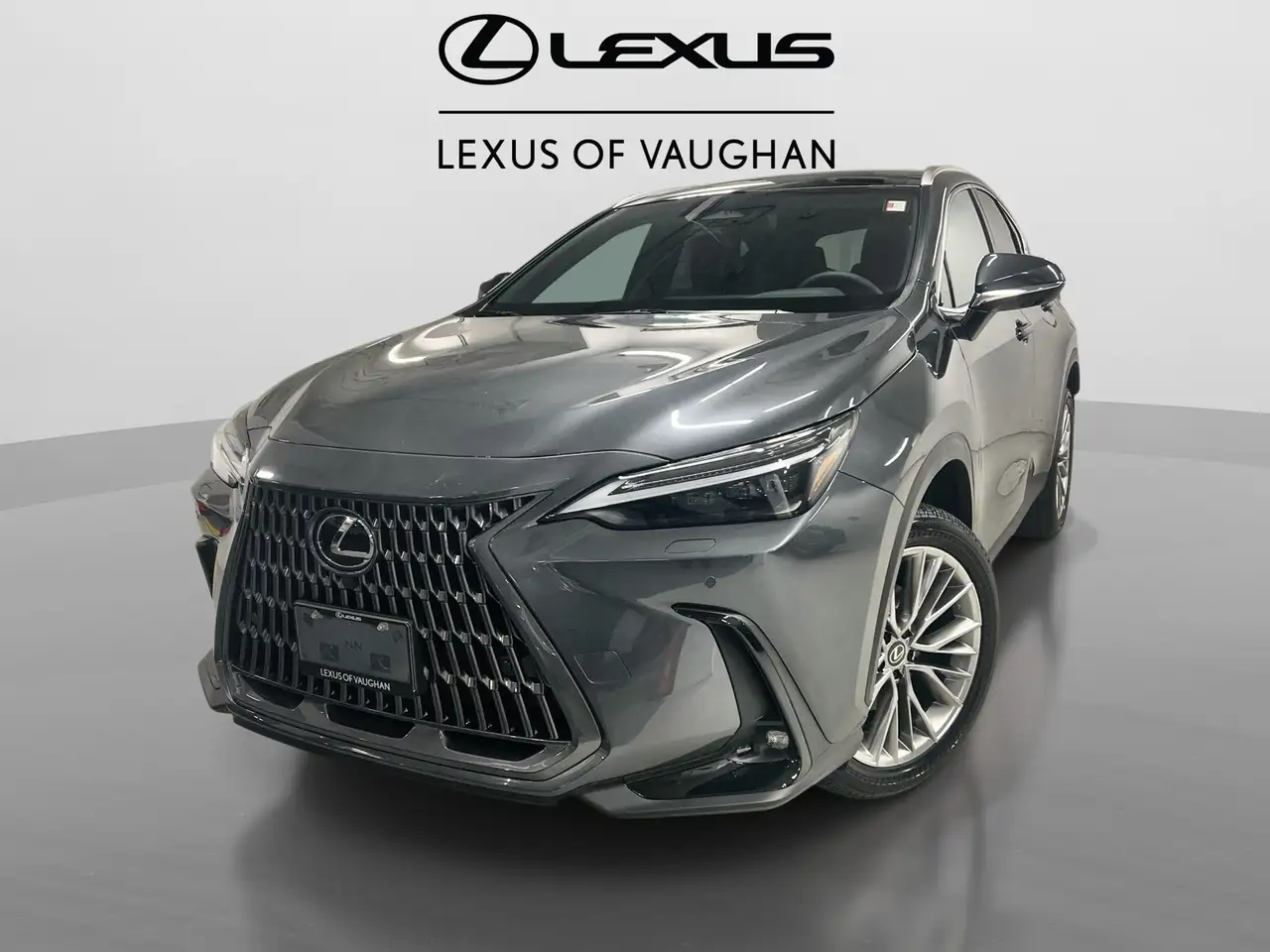 2026 Lexus NX