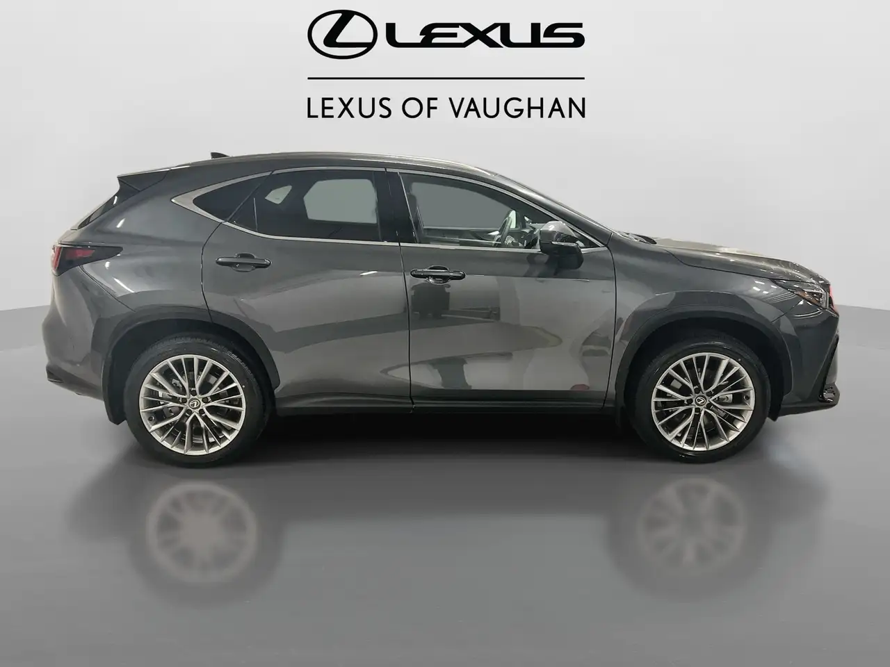 Lexus NX снимка Lexus NX