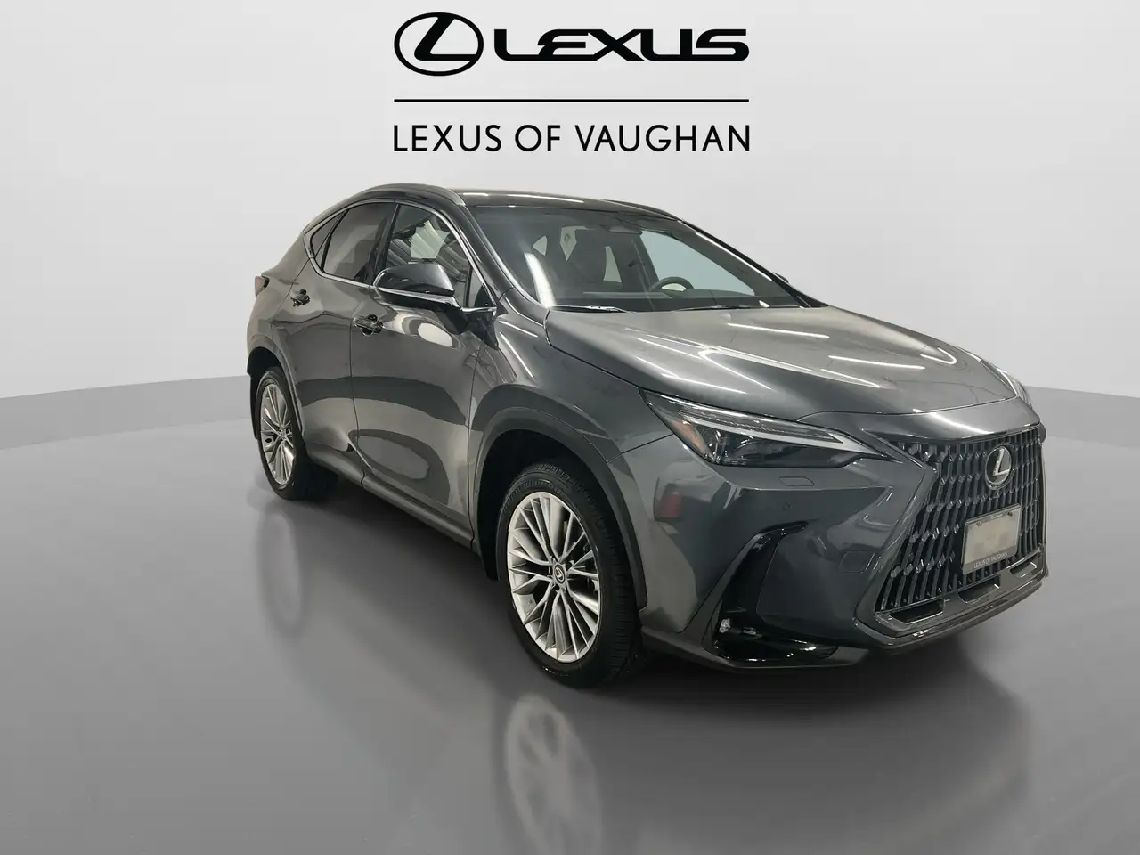 Lexus NX снимка Lexus NX