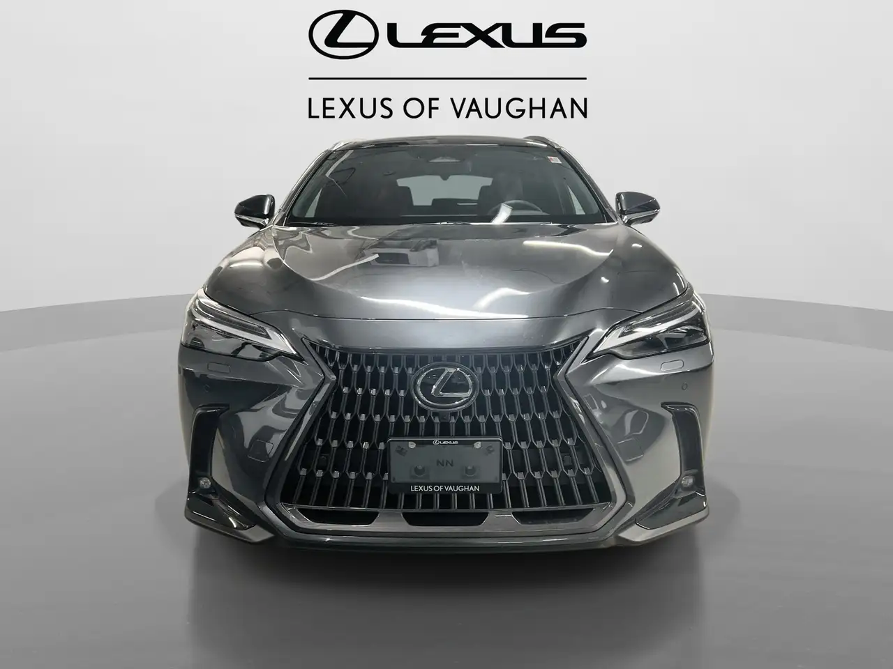 Lexus NX снимка Lexus NX