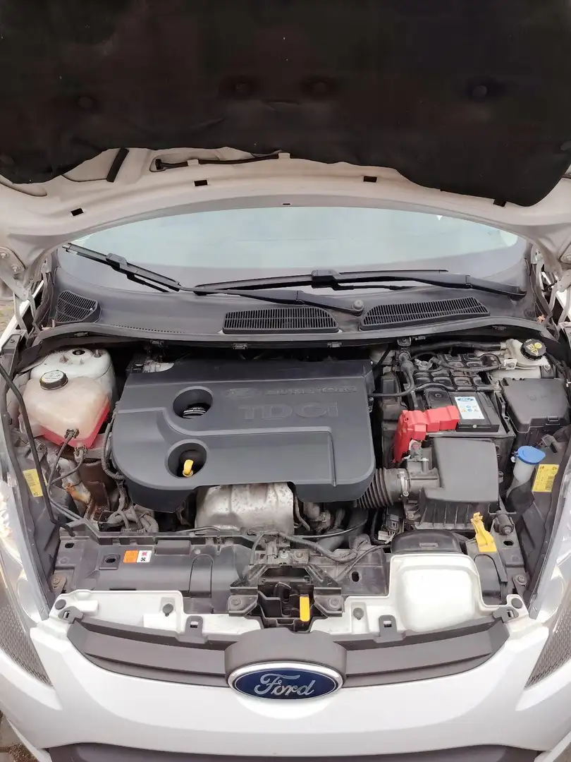 Ford Fiesta Baujahr 2011, Typ JA8, Diesel - 2