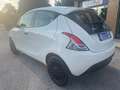 Lancia Ypsilon Ypsilon 1.2 Elefantino Blu S&S x Neopatentati Bianco - thumbnail 6
