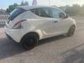 Lancia Ypsilon Ypsilon 1.2 Elefantino Blu S&S x Neopatentati Bianco - thumbnail 3