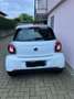 smart forFour Forfour 1.0 Urban (sport edition1) 71cv Bianco - thumbnail 3