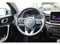 Kia Ceed / cee'd Sportswagon 1.6 CRDi Navi ACC Apple CarPlay Gris - thumbnail 19