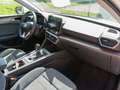 SEAT Leon Sportstourer Xcellence 1.5 TSI+AHK+LED+Navi Wit - thumbnail 8