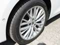 SEAT Leon Sportstourer Xcellence 1.5 TSI+AHK+LED+Navi Wit - thumbnail 5