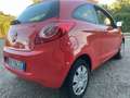 Ford Ka/Ka+ 1.2 + 69cv - UNICO PROPRIETARIO Rosso - thumbnail 9
