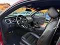 Ford Mustang Ford Mustang 3.7 V6 Rosso - thumbnail 9