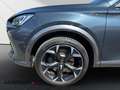 CUPRA Formentor 2.0 4Drive*Navi*Leder*Beats*CarPlay* Grau - thumbnail 11
