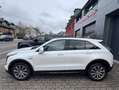 Cadillac XT4 350T AWD Weiß - thumbnail 7