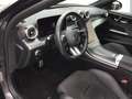 Mercedes-Benz C 43 AMG 4MATIC PERFORMANCE AHK GSD STANDHZG Grau - thumbnail 10