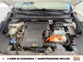 Kia Niro 1.6 gdi phev evolution dct Bianco - thumbnail 13