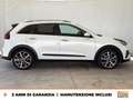 Kia Niro 1.6 gdi phev evolution dct Bianco - thumbnail 6