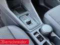 Volkswagen Caddy Maxi Cargo 2.0 TDI DSG LED APP-CONNECT KAMERA PDC Grau - thumbnail 10
