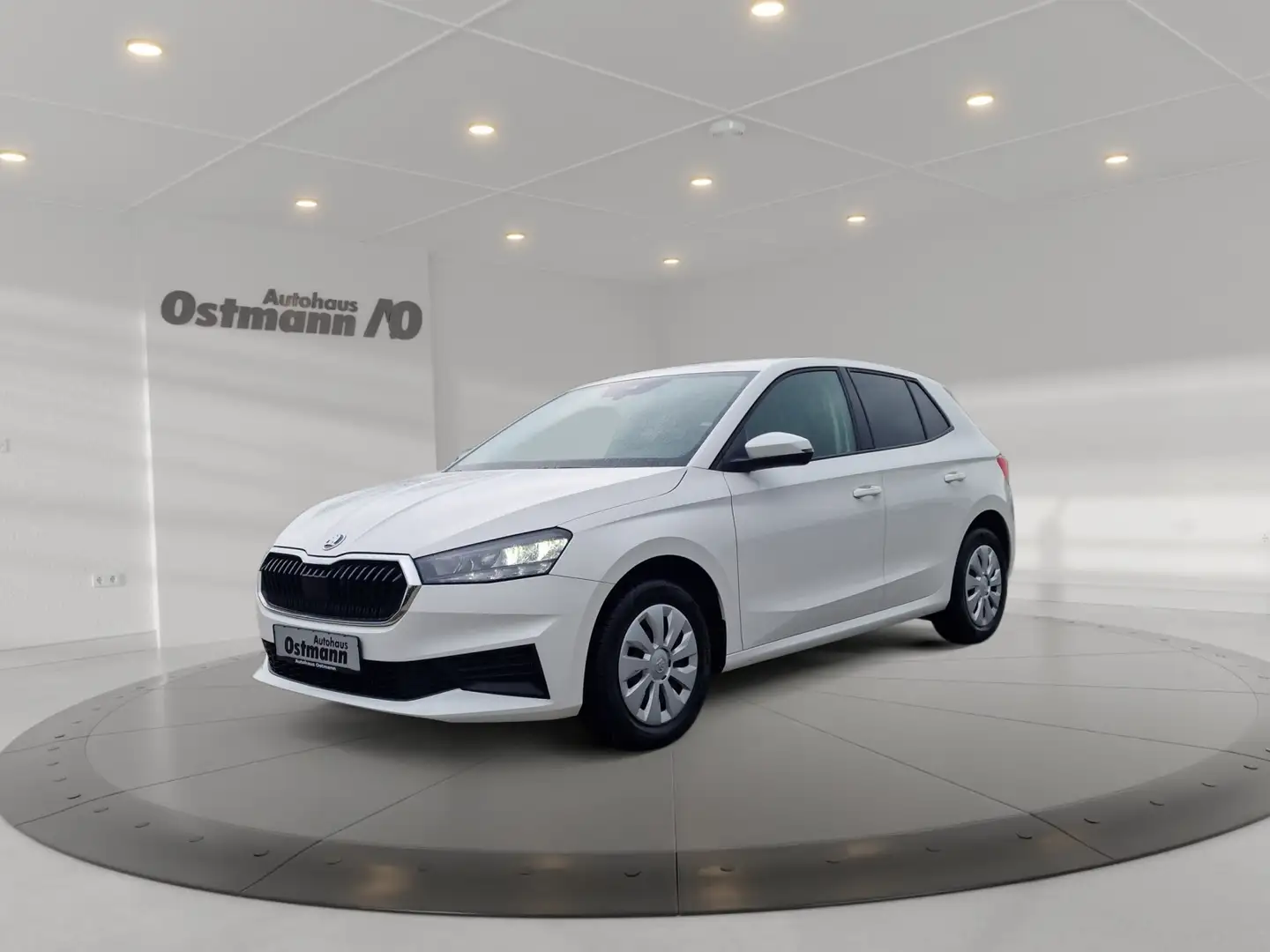 Skoda Fabia 1.0 Active LED Einparkhilfe Sitzheizung Weiß - 1