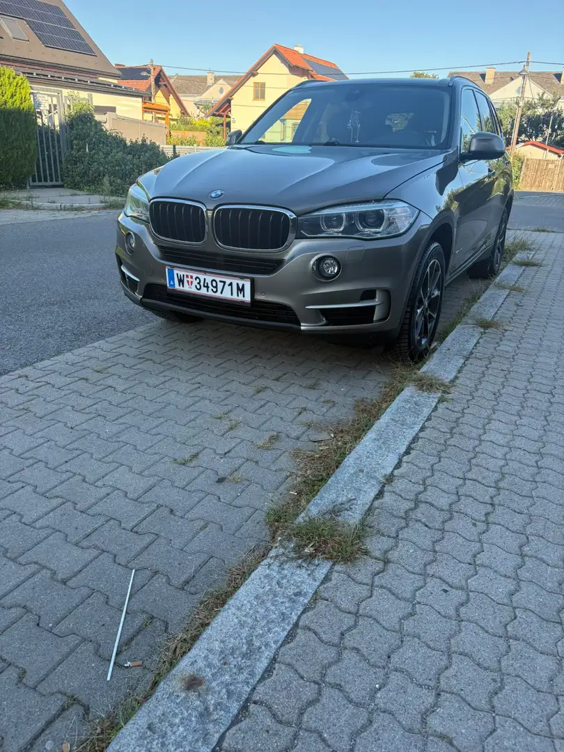 BMW X5 sDrive25d Aut. - 2