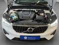 Volvo XC40 XC40 T5 Recharge Plus-Bright DKG Glasd PilotAssist Blau - thumbnail 22