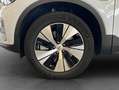 Volvo XC40 XC40 T5 Recharge Plus-Bright DKG Glasd PilotAssist Blau - thumbnail 26