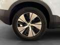 Volvo XC40 XC40 T5 Recharge Plus-Bright DKG Glasd PilotAssist Blau - thumbnail 28