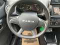 Dacia Spring Essential  KLIMA/KAMERA/NAVI Noir - thumbnail 9