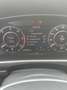 Volkswagen Tiguan 2.0 TDI SCR Highline, R-Line, AHK, Panoramadach Grau - thumbnail 12