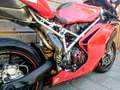 Ducati 749 S Rouge - thumbnail 4