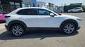 Mazda CX-30 2.0L Skyactiv-G M Hybrid 2WD Executive Bianco - thumbnail 3
