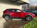 Mazda CX-30 2.0i Vol/Siege Chauf, Bose, Cruise adapt, Carplay Rood - thumbnail 6