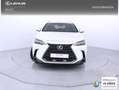 Lexus NX 350h Executive 4WD Blanco - thumbnail 5