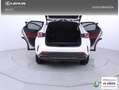 Lexus NX 350h Executive 4WD Blanco - thumbnail 10