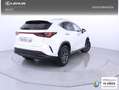 Lexus NX 350h Executive 4WD Blanco - thumbnail 26