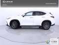 Lexus NX 350h Executive 4WD Blanco - thumbnail 3