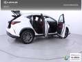 Lexus NX 350h Executive 4WD Blanco - thumbnail 29